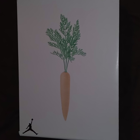 Jordan 6 Retro Hare - Picture 3 of 7